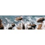 PGYTech ND-PL Filter Set for DJI Air 2S - Image 9