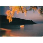 OneShot Retro Reusable 35mm Film Camera - Image 12