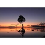 Canon EOS R50 Mirrorless Camera with RFS 18-45mm Lens Kit - Image 7