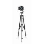 XCD 3 Way Swivel Head Tripod (Small) - Image 4
