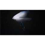 Endless Ocean Luminous - Image 7