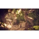 Dragon Age: The Veilguard Deluxe Edition - Image 14