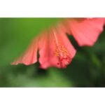 Canon EOS R100 Mirrorless 18-45 + 55-210 Twin Lens Kit - Image 8