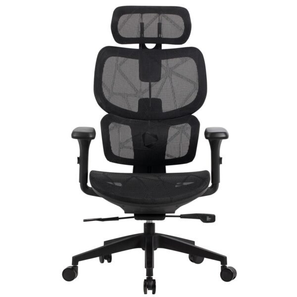 796955 Product 0 I 638768173884061666