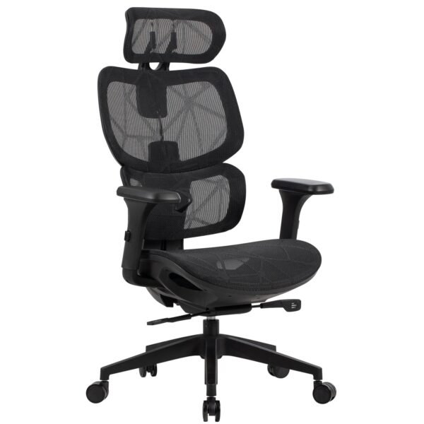 796955 Product 1 I 638768173839861781