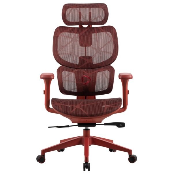 796956 Product 0 I 638768174463723717