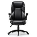 Eureka OC11 Ergonomic Office Chair (Black)