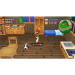 Harvest Moon: The Lost Valley & Skytree Village Double Pack Collector's Edition - Image 8