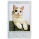 Fujifilm Instax Mini Film Soft Glitter (10 Pack) - Image 6
