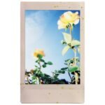 Fujifilm Instax Mini Film Soft Glitter (10 Pack) - Image 9