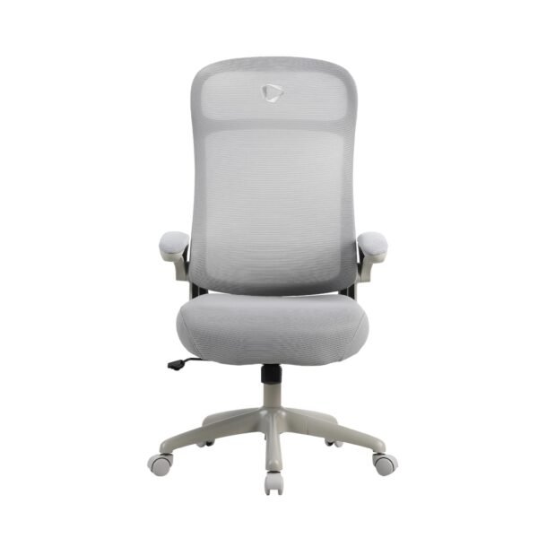 858495 Product 0 I 638992096209789346 5060e564 89a3 405c aea2 0f946f036693