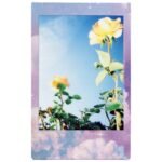 Fujifilm Instax Mini Film Pastel Galaxy for Instax Mini Cameras (10 Pack) - Image 4