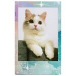 Fujifilm Instax Mini Film Pastel Galaxy for Instax Mini Cameras (10 Pack) - Image 8