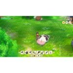 STORY OF SEASONS: Grand Bazaar - Image 2