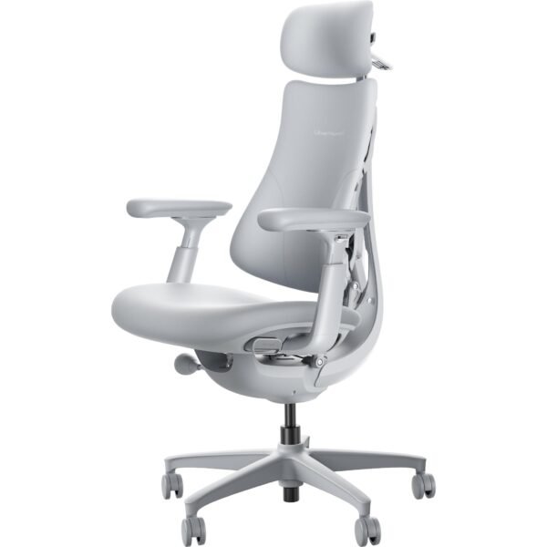 896403 Product 1 I 639150225604277281
