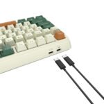 Royal Kludge RK-H81 Tri Mode RGB Hot Swap Keyboard Brown Switch (Timing Machine) - Image 3