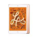 Apple iPad Mini 5th Gen (2019) 7.9" A12 Wi-Fi 256GB Gold [~Refurbished: Excellent]