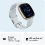 Fitbit Sense 2 (Blue Mist/Pale Gold) - Image 2
