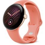 Google Pixel Watch 5 41mm (Champagne Gold/Canyon Active Band 2nd Gen)