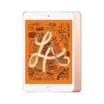 Apple iPad Mini 5th Gen (2019) 7.9" A12 Wi-Fi 256GB Gold [~Refurbished: Very Good]